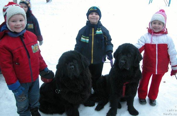 Фотография № 19999