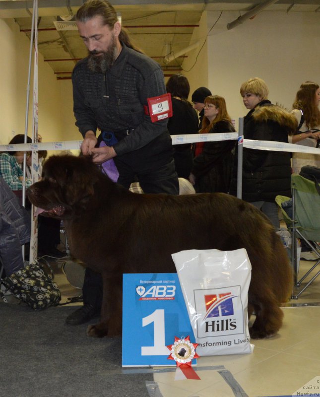 Фотография № 199992