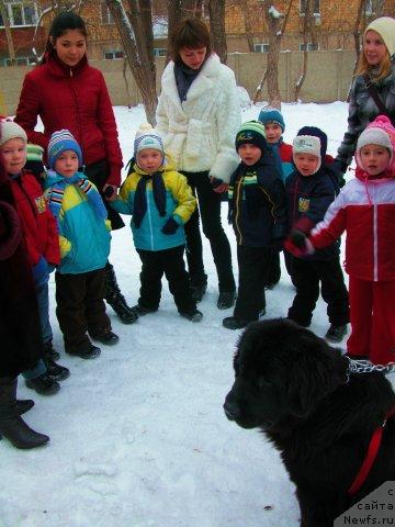 Фотография № 20001