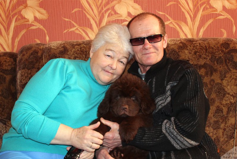 Фотография № 200012