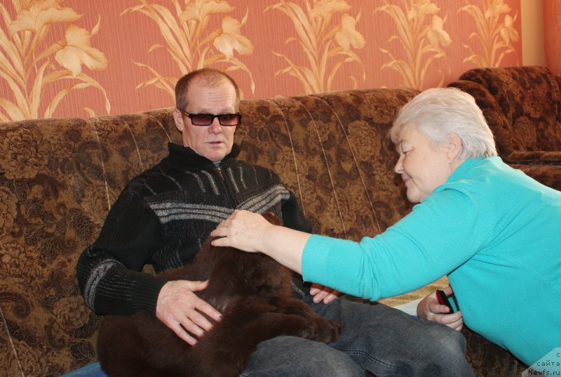 Фотография № 200013