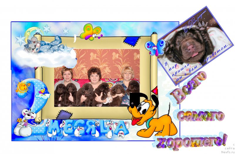 Фотография № 200019