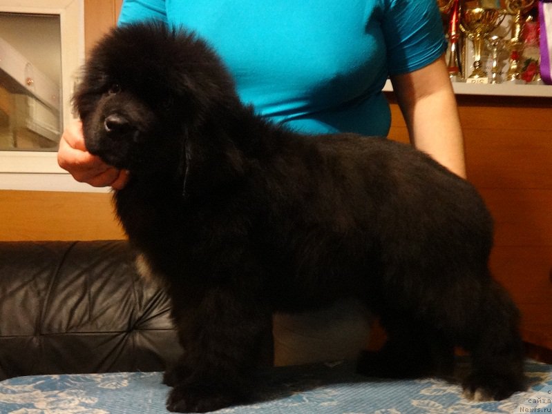 Фото: Ирина Панюшкина