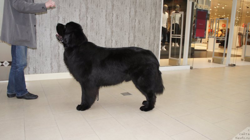 Фотография № 200035