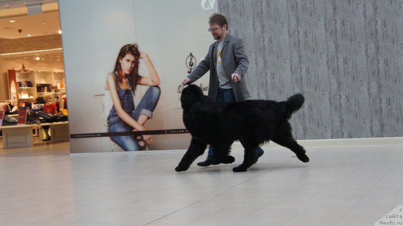 Фотография № 200038