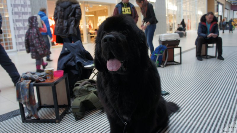 Фотография № 200041