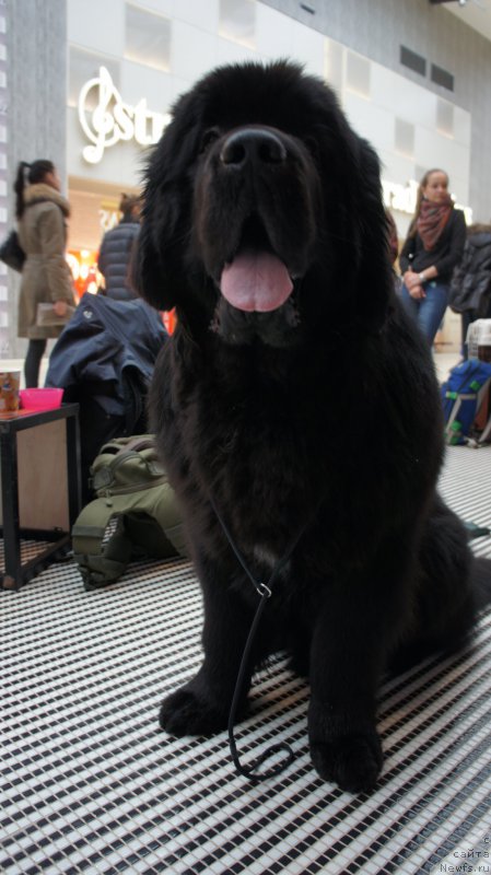 Фотография № 200043