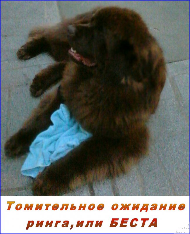 Фотография № 200049