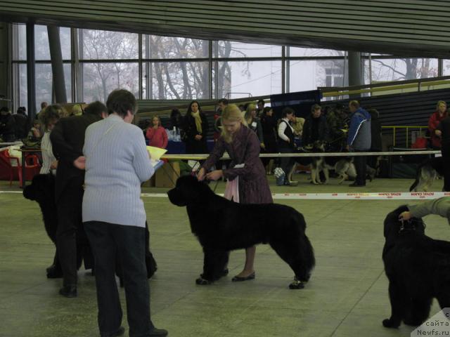 Фотография № 20005