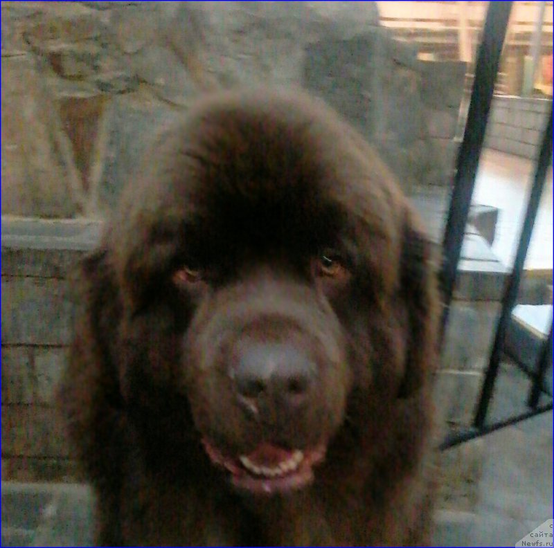 Фотография № 200050