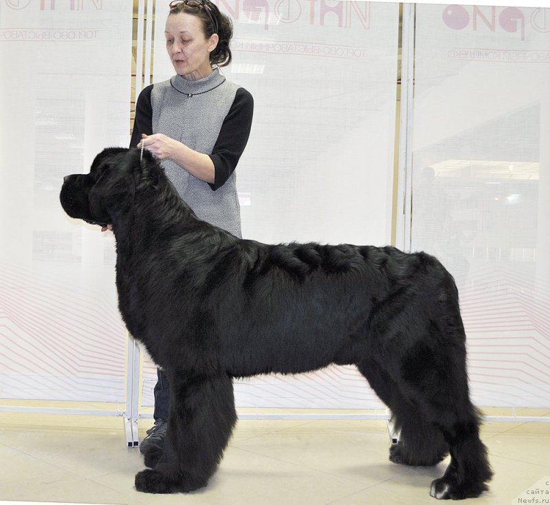 Фотография № 200051