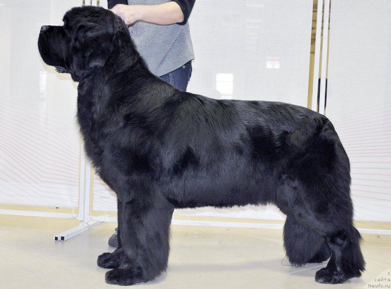 Фотография № 200054