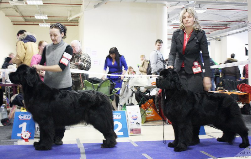 Фотография № 200060