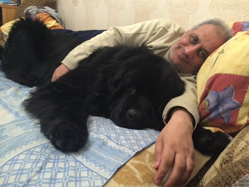 Фотография № 200065