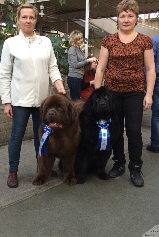 Фотография № 200067