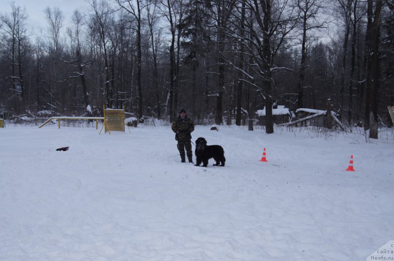 Фотография № 200093