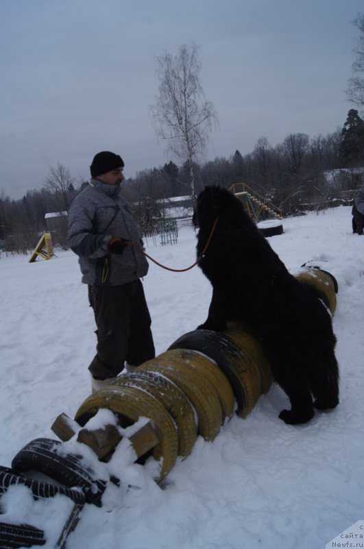 Фотография № 200098