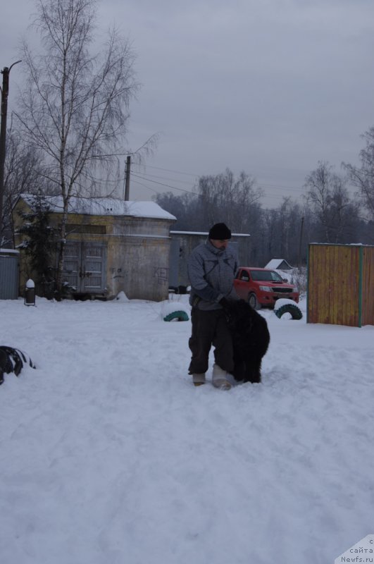 Фотография № 200102