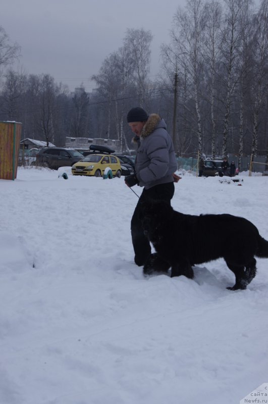 Фотография № 200105