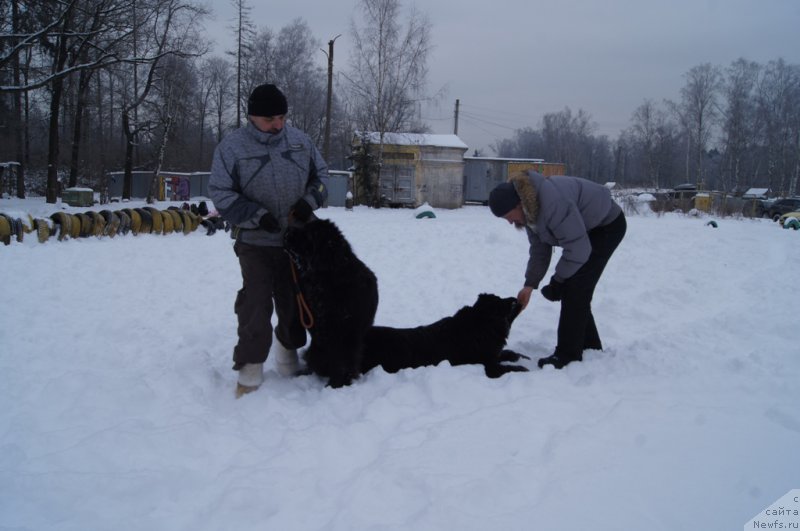 Фотография № 200108