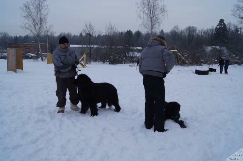 Фотография № 200110