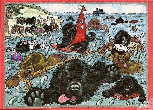 Фотография № 200122