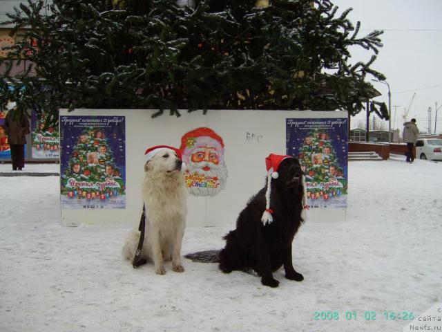 Фото: яна и малыш