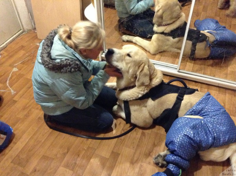 Фото: Лена Зырина