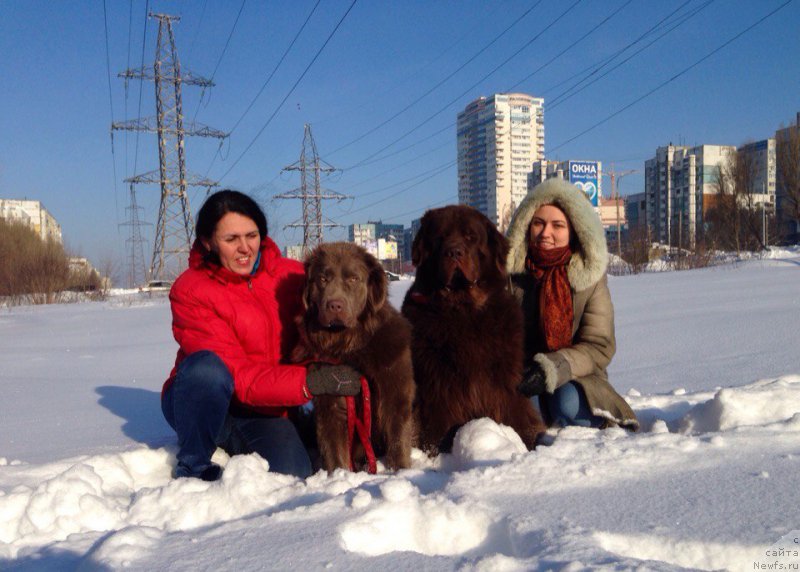 Фотография № 200152