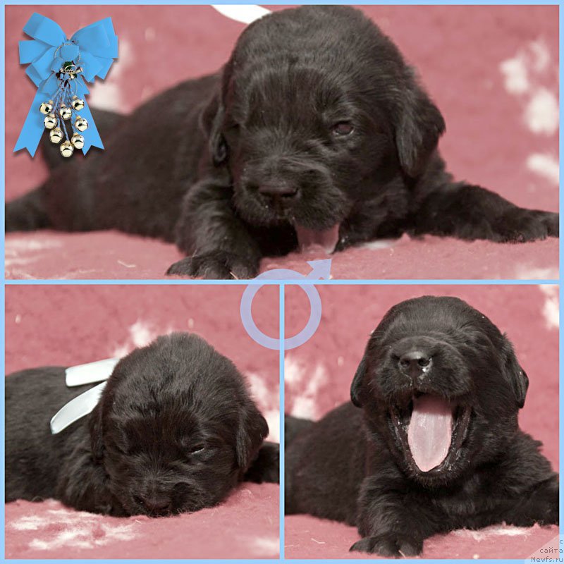 Фотография № 200196