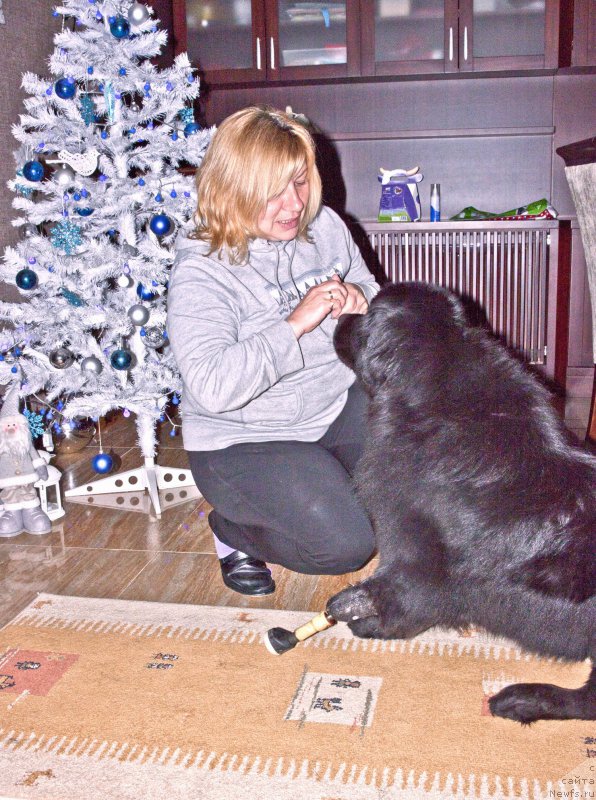 Фотография № 200201