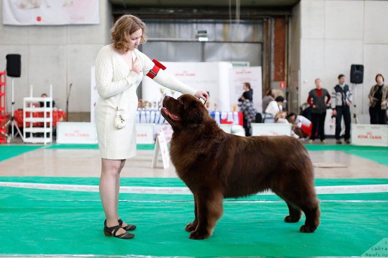 Фотография № 200209