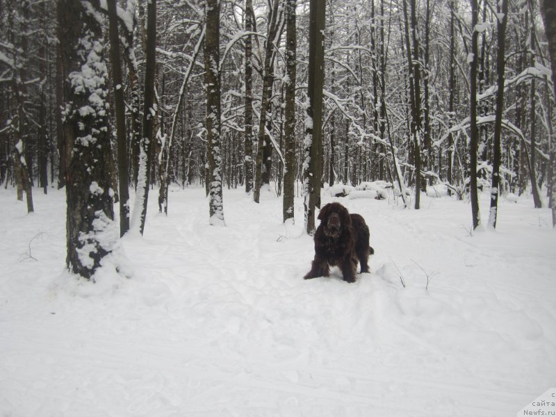 Фотография № 200245