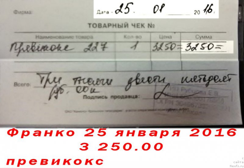 Фотография № 200247