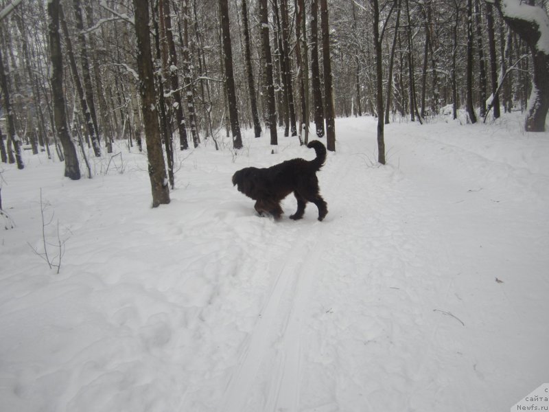 Фото: Наталья Смазчикова