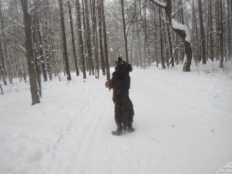 Фото: Наталья Смазчикова