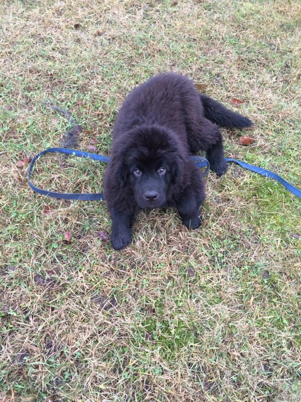 Фотография № 200255