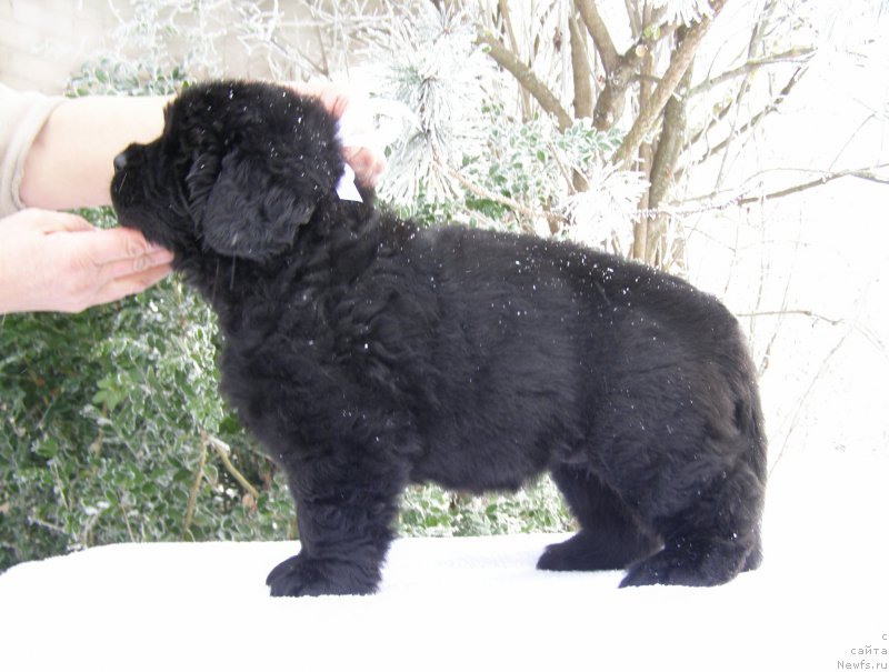 Фотография № 200377