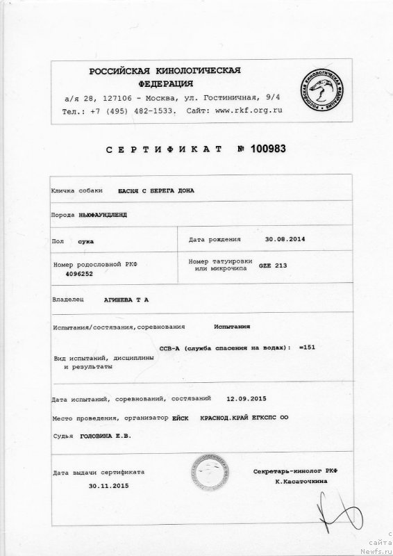 Фото: ньюфаундленд Басня с Берега Дона (Basnja s Berega Dona)