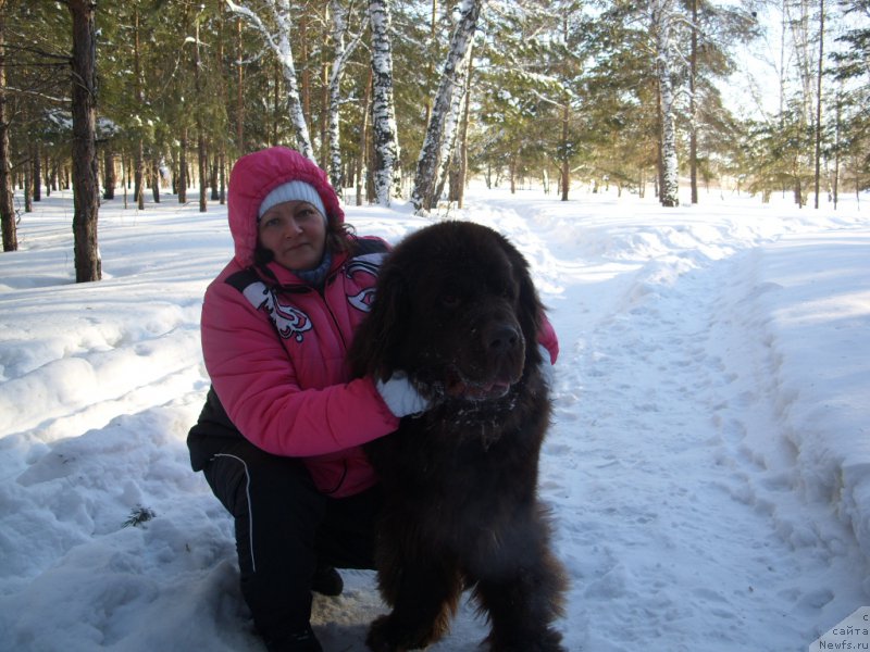 Фото: ньюфаундленд Черный Шарм Амбер Бест Дог ФО Марлеон, Татьяна Шайдук