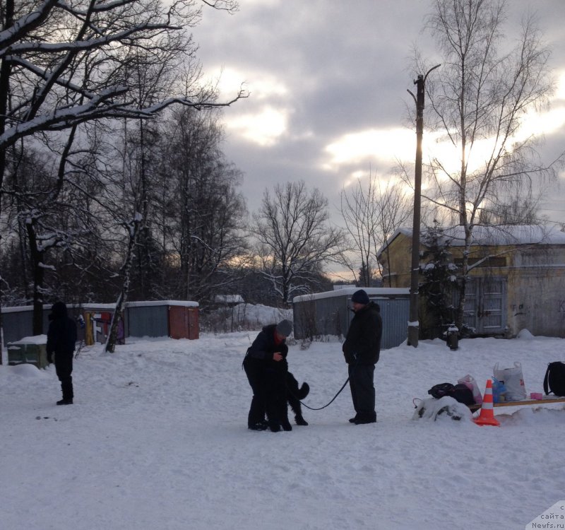 Фотография № 200490