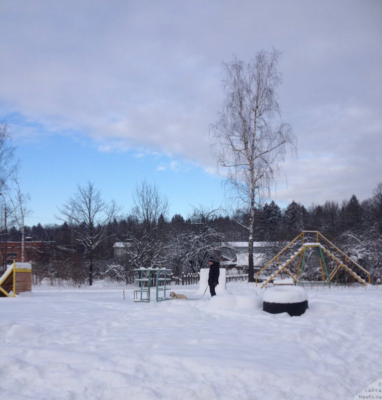 Фотография № 200491