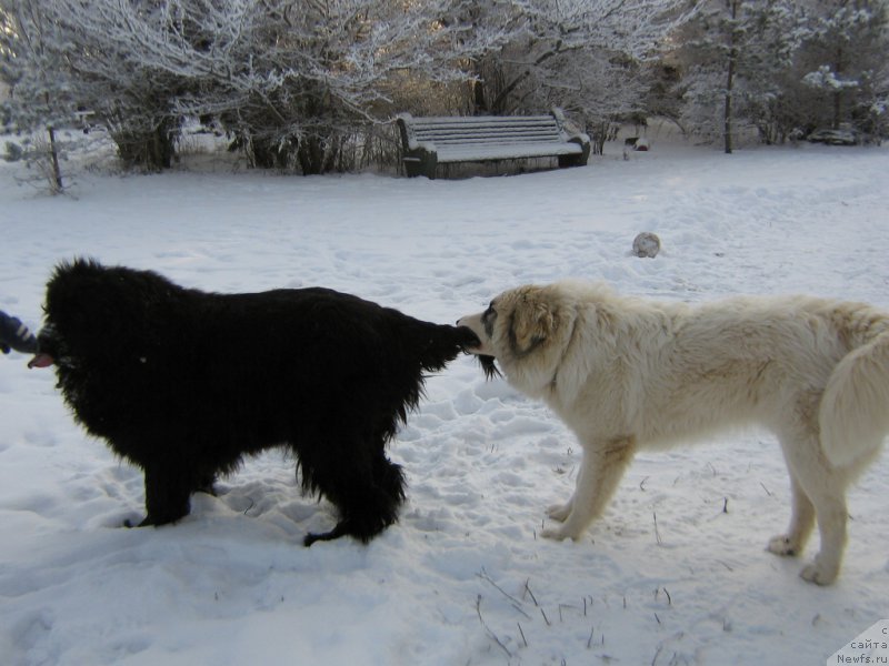 Фотография № 200501