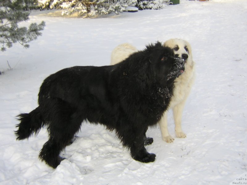 Фотография № 200502