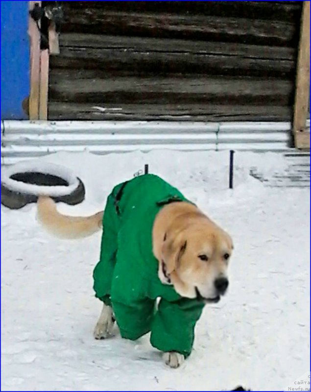 Фотография № 200509