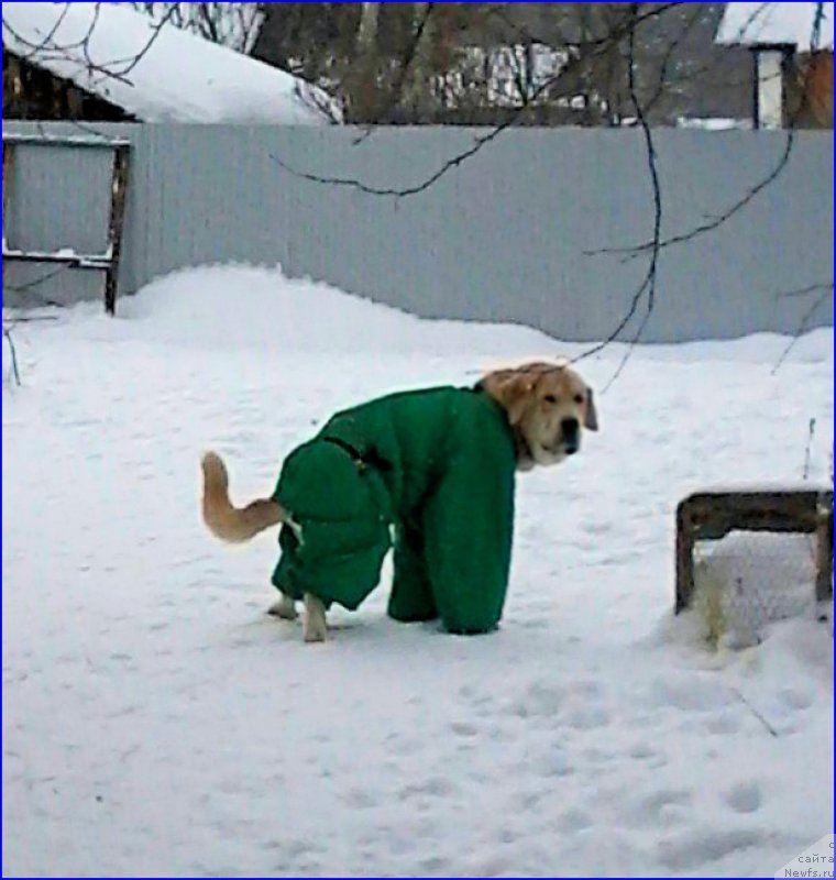 Фото: Лена Зырина