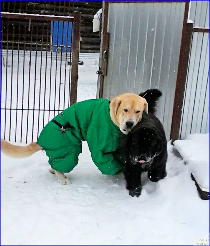 Фото: Лена Зырина