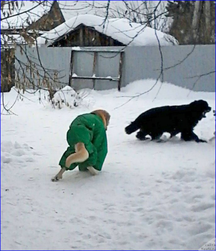 Фото: Лена Зырина