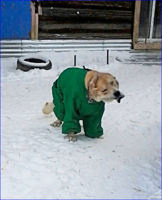 Фото: Лена Зырина