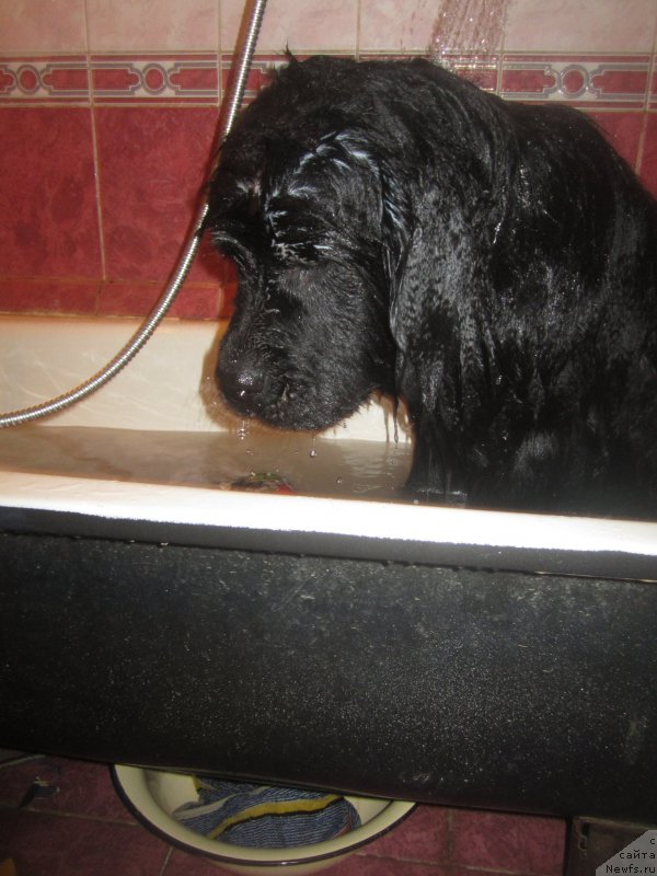 Фото: Наталья Смазчикова